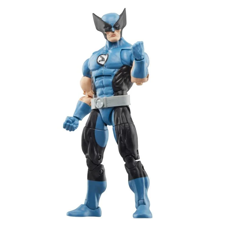 Marvel Legends Series Collection- Fantastic Four: Spider-Man & Wolverine FF4 Deco (2-pack)