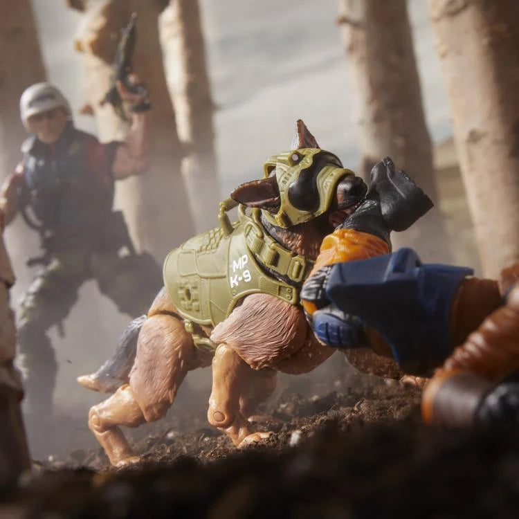 G.I. Joe Classified Series- Christopher "Law" Lavigne & Order