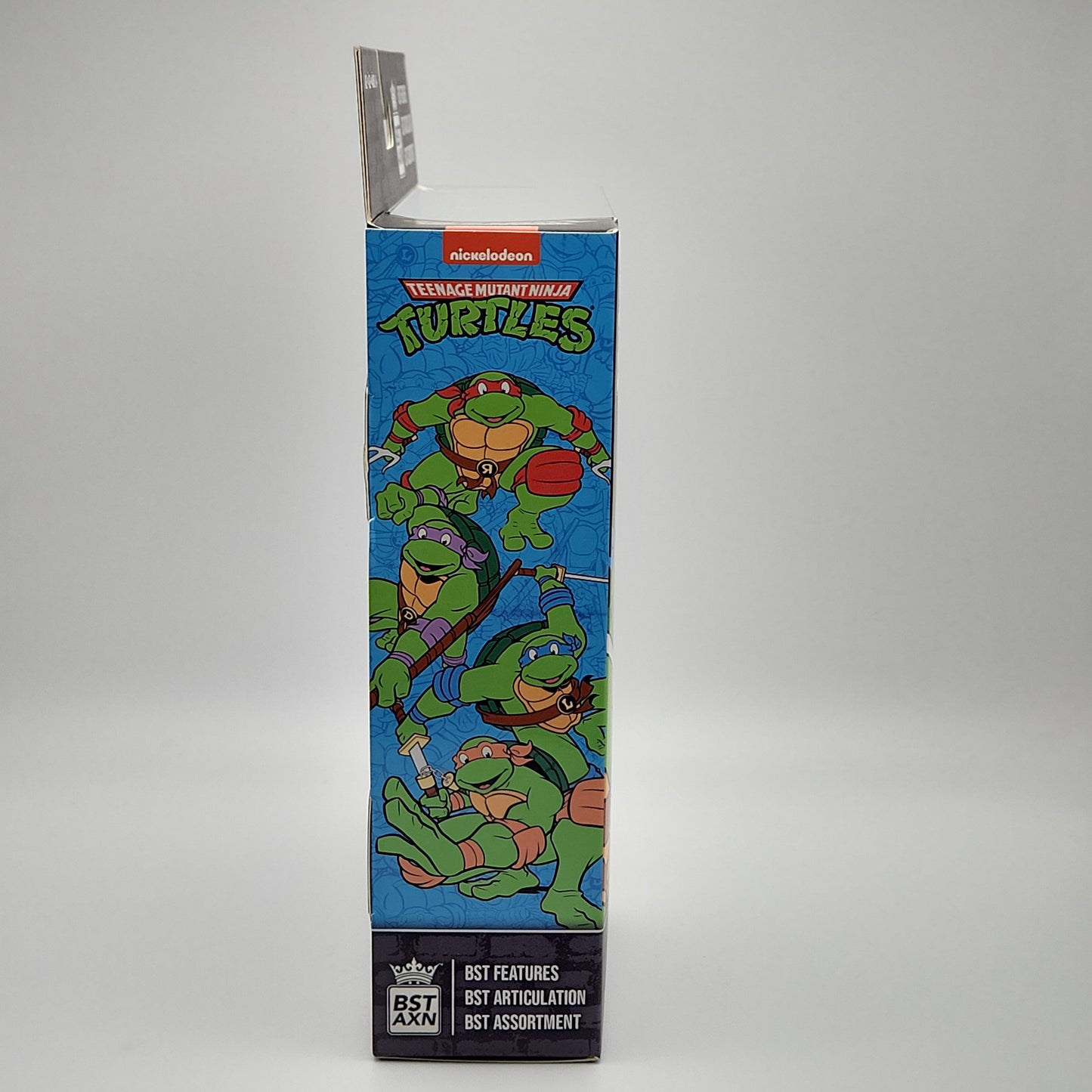 Teenage Mutant Ninja Turtles- Leonardo