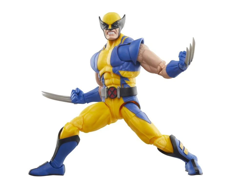 Marvel Legend Series Collection- Wolverine