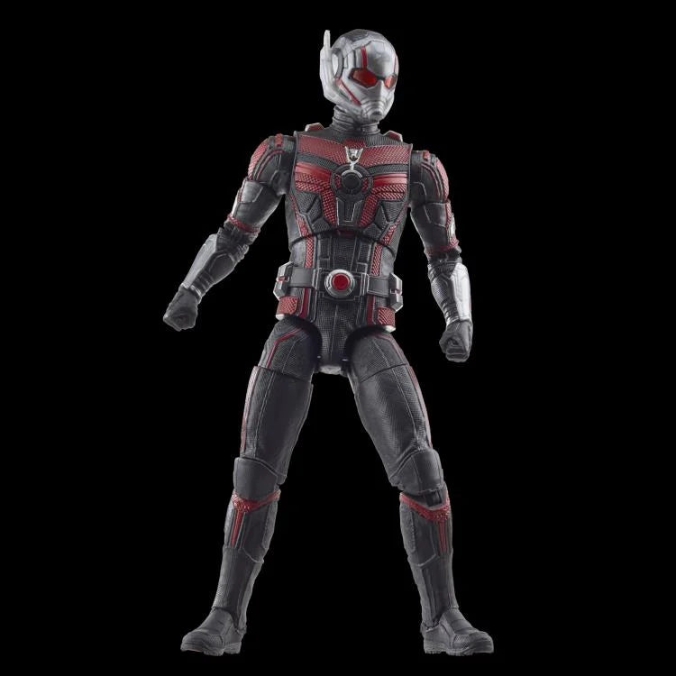 Marvel Legends Series: Ant-Man (Quantumania)