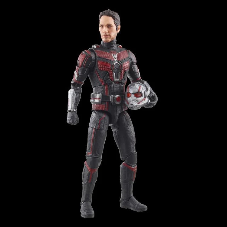 Marvel Legends Series: Ant-Man (Quantumania)
