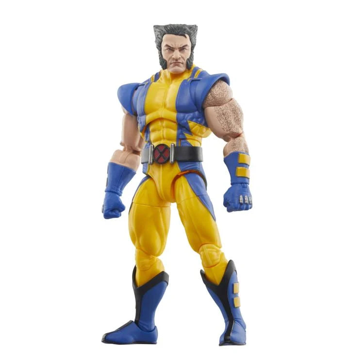 Marvel Legend Series Collection- Wolverine