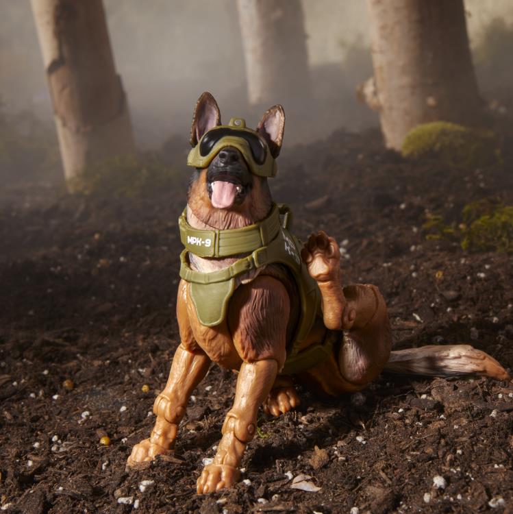 G.I. Joe Classified Series- Christopher "Law" Lavigne & Order