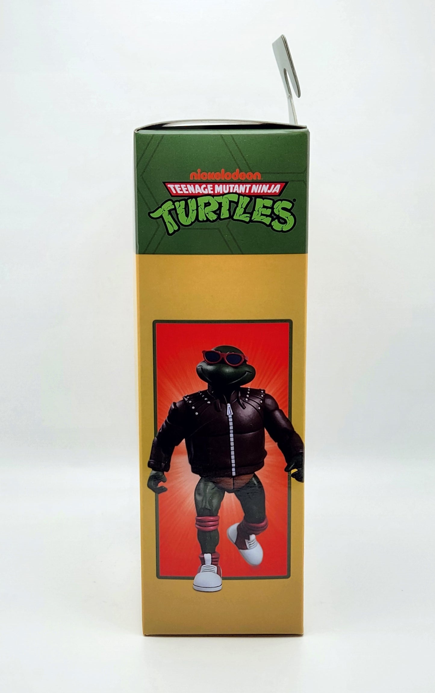 Teenage Mutant Ninja Turtles- Punk Raphael