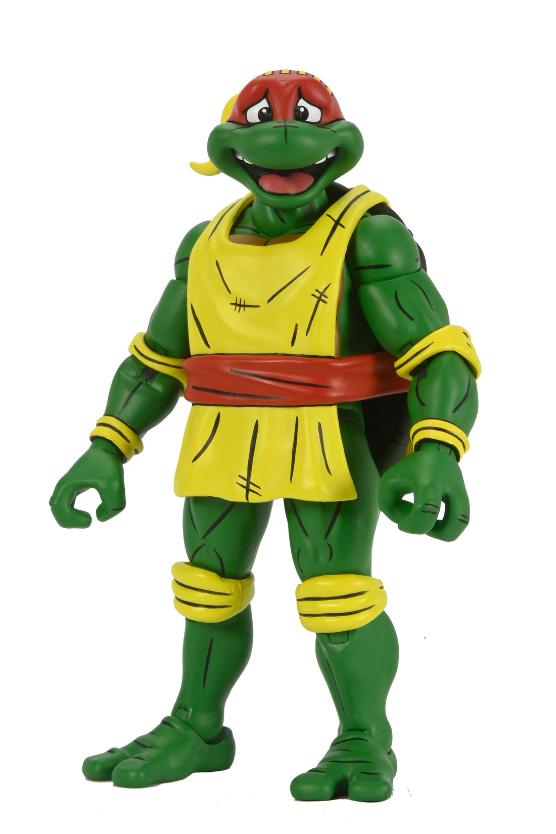 Teenage Mutant Ninja Turtles- Stump Arena Wrestling Donatello (NECA): Eastman and Laird's