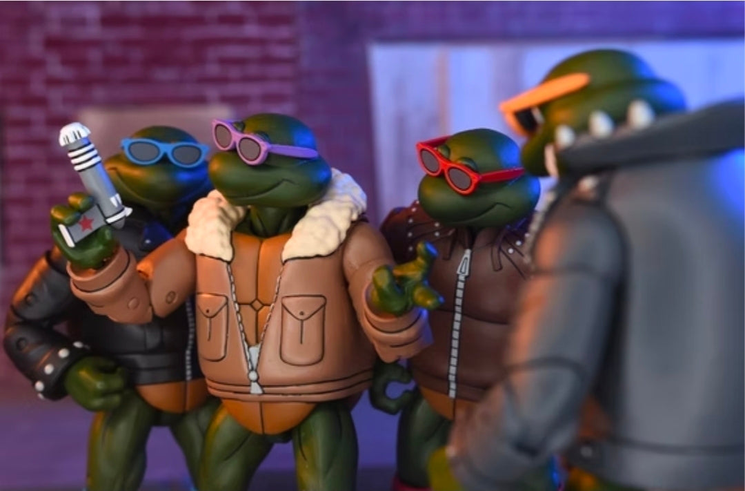 Teenage Mutant Ninja Turtles- Punk Donatello (NECA)