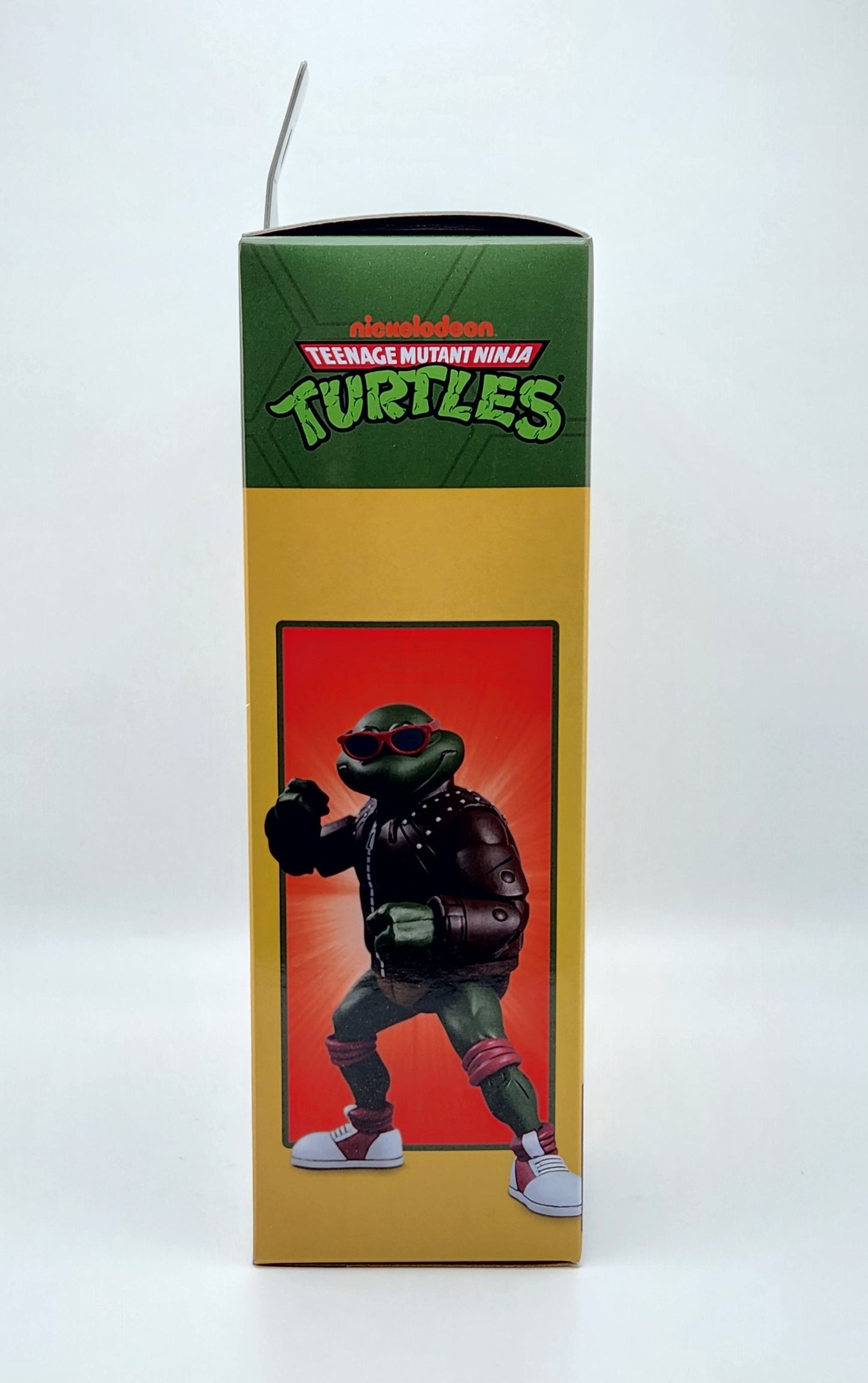 Teenage Mutant Ninja Turtles- Punk Raphael