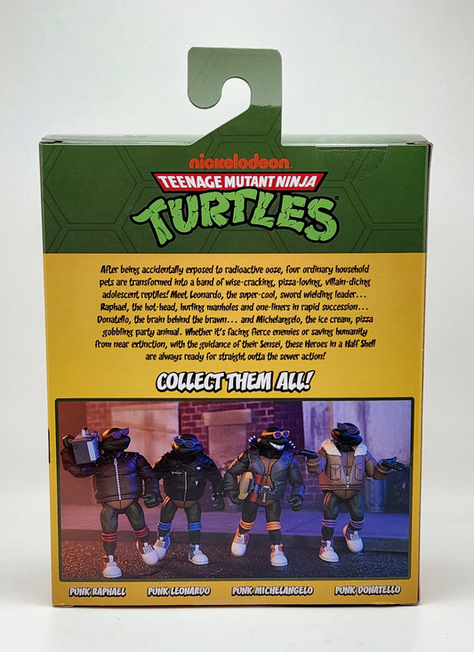 Teenage Mutant Ninja Turtles- Punk Raphael