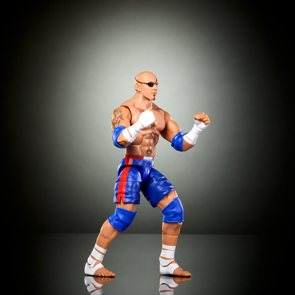 WWE x Street Fighter Elite Collection Series- Batista as Sagat