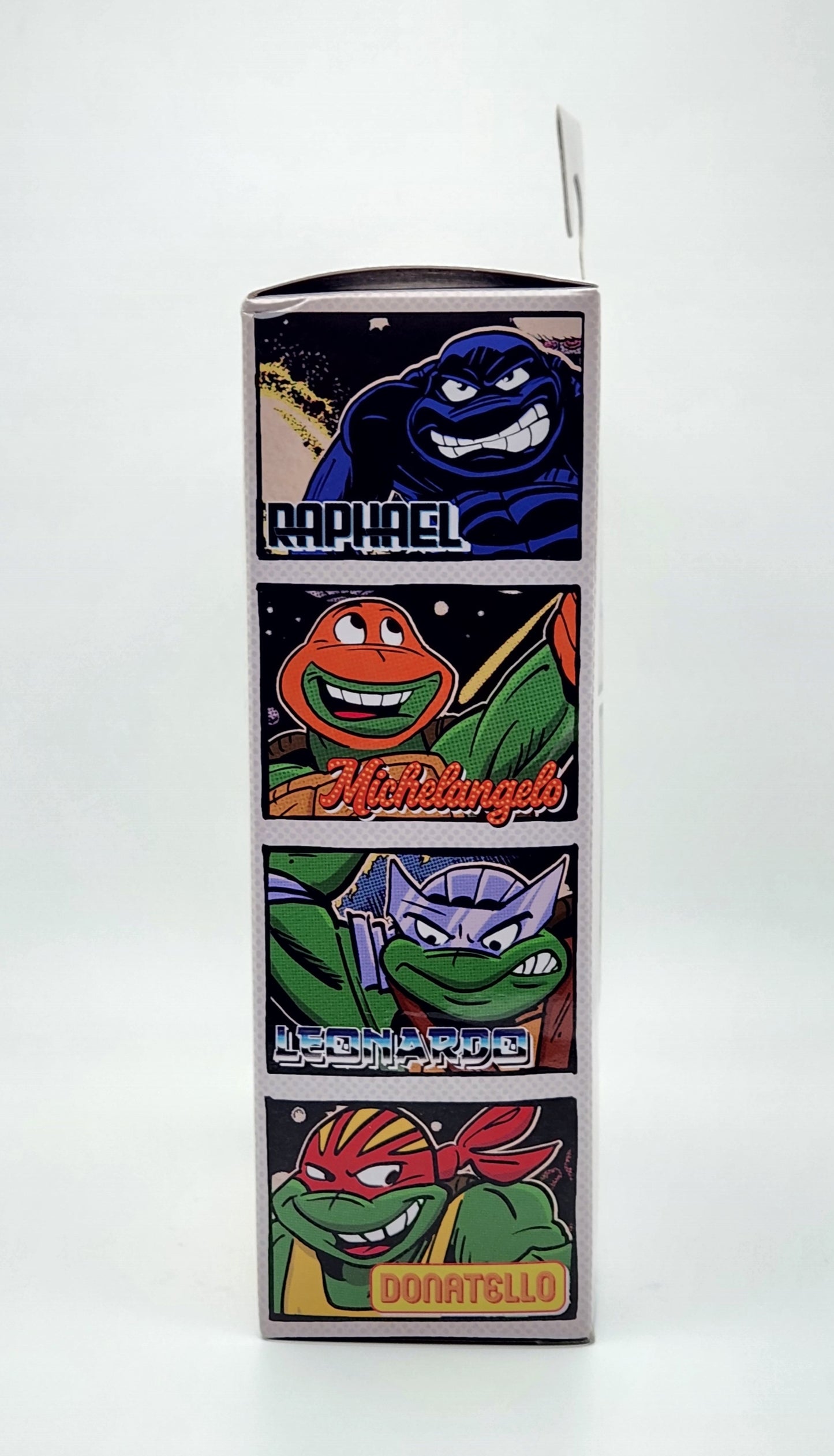 Teenage Mutant Ninja Turtles- Stump Arena Wrestling Donatello (NECA): Eastman and Laird's