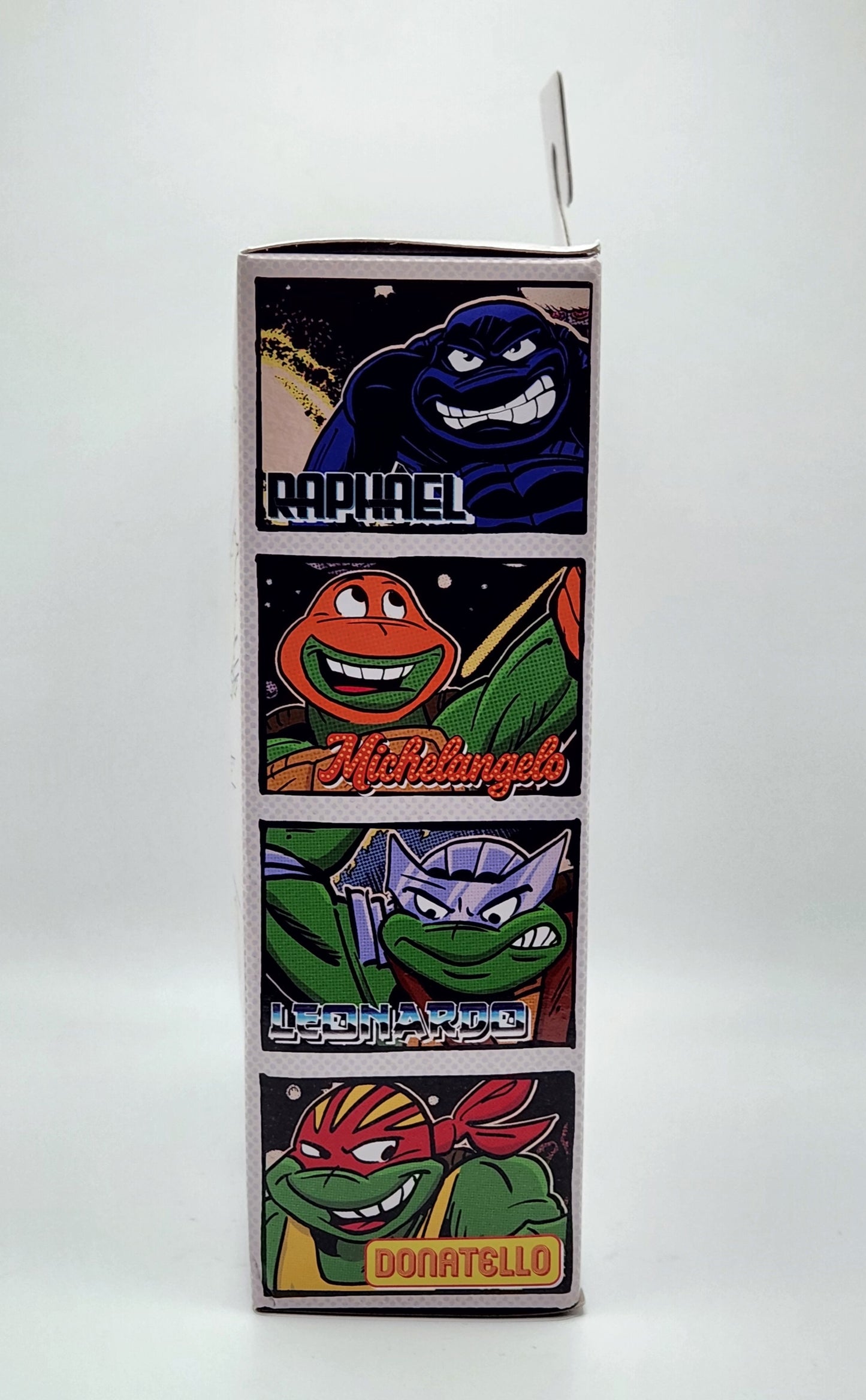 Teenage Mutant Ninja Turtles- Stump Arena Wrestling Leonardo (NECA): Eastman and Laird's