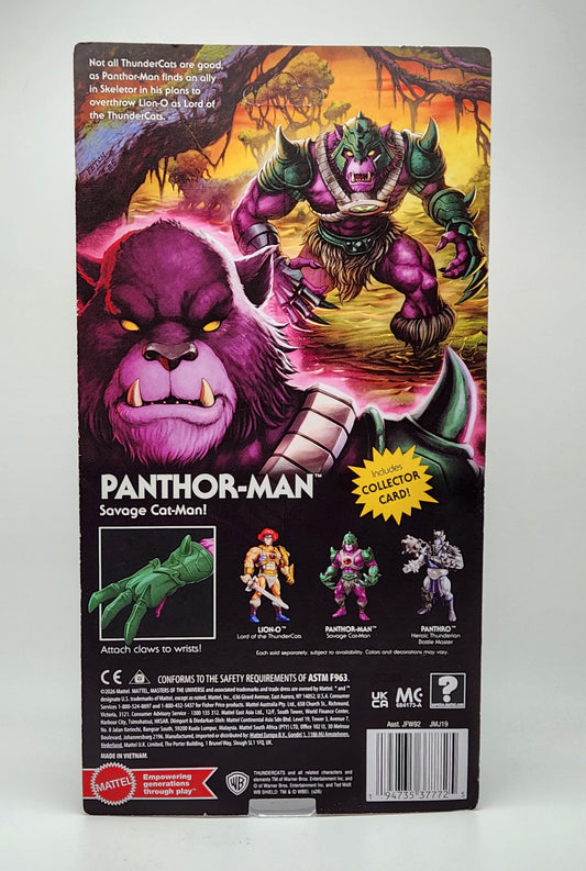 Masters of the Universe x Thundercats Origins: Panthor-Man