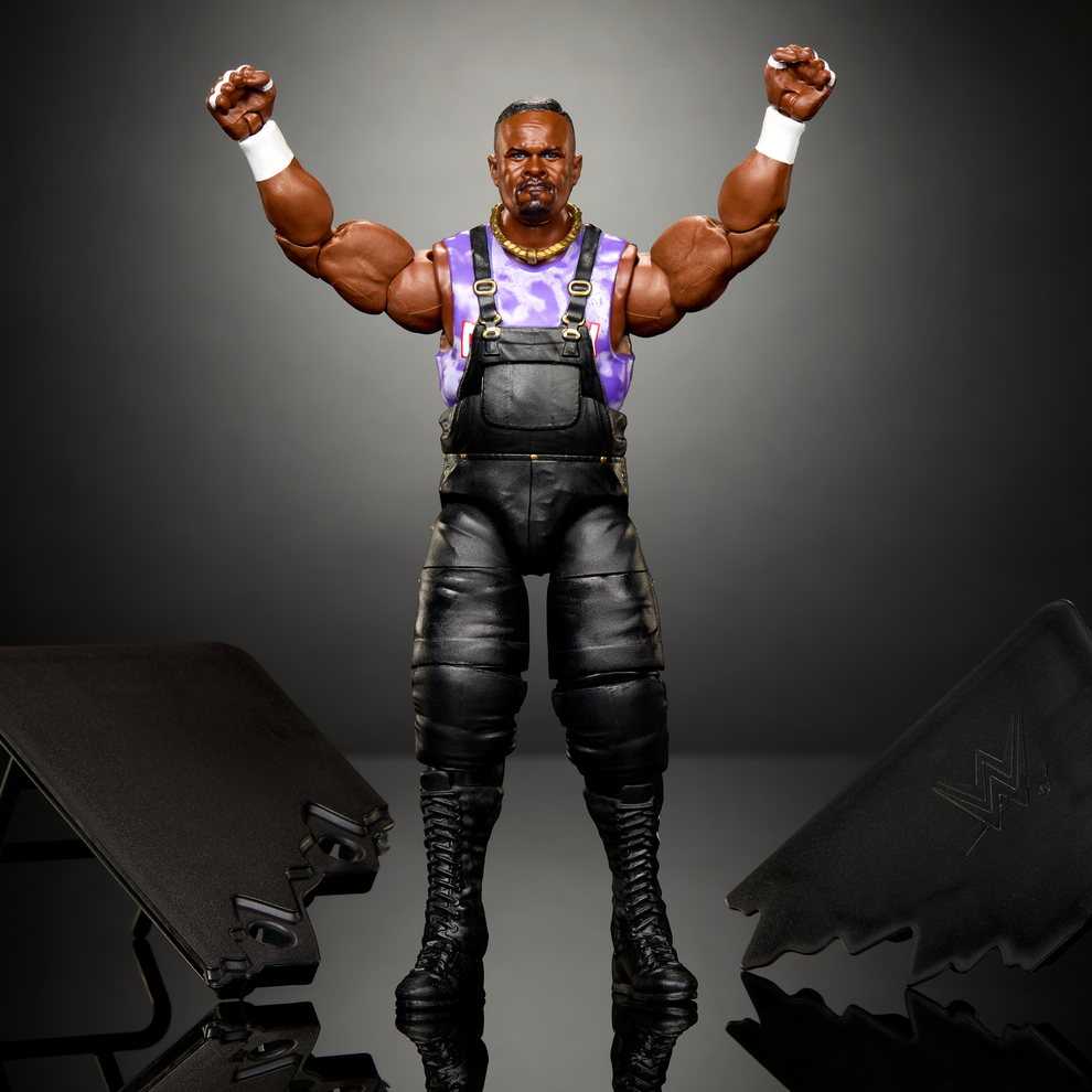 WWE Elite Collection Series- From The Vault Series 8- D-Von Dudley